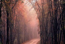 泰国球队在国际比赛中实现全胜:热血、智慧与东南亚崛起的传奇