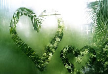 比赛结束后,多特蒙德取得胜利