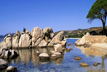 比赛结束后，多特蒙德取得胜利